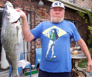 Bielie Plaat Steenbras 